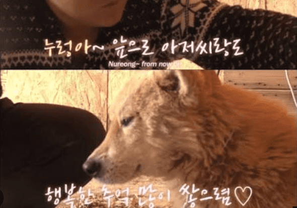 누렁이에게 행복한 추억을 많이 쌓으라고 말하는 장면